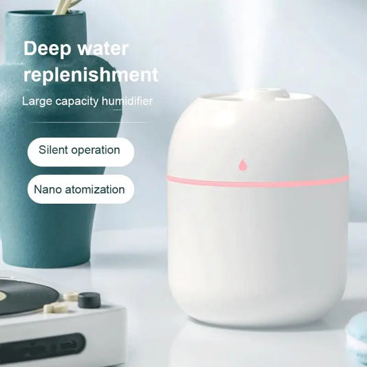 Portable humidifier